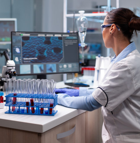 Laboratório de Exames de Qualidade em Guarulhos SP